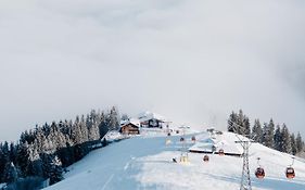 Rinderberg Swiss Alpine Lodge