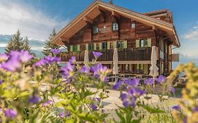 Rinderberg Swiss Alpine Lodge